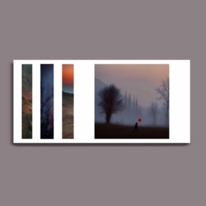 کارت پستال / postcard