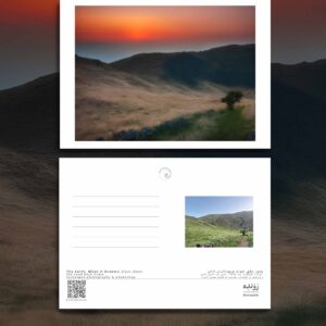 کارت پستال / postcard