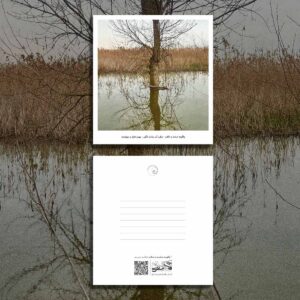 کارت پستال / postcard