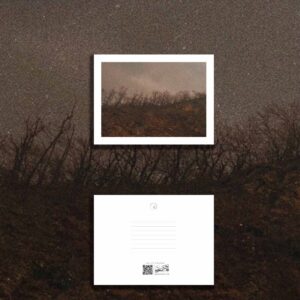 کارت پستال / postcard