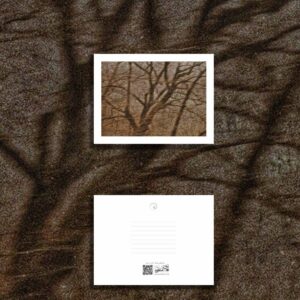 کارت پستال / postcard