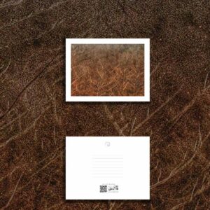 کارت پستال / postcard