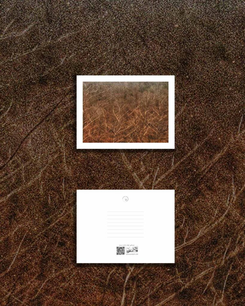 کارت پستال / postcard