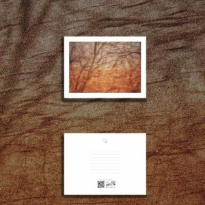 کارت پستال / postcard