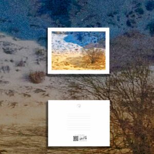 کارت پستال / postcard