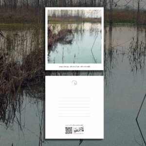 کارت پستال / postcard