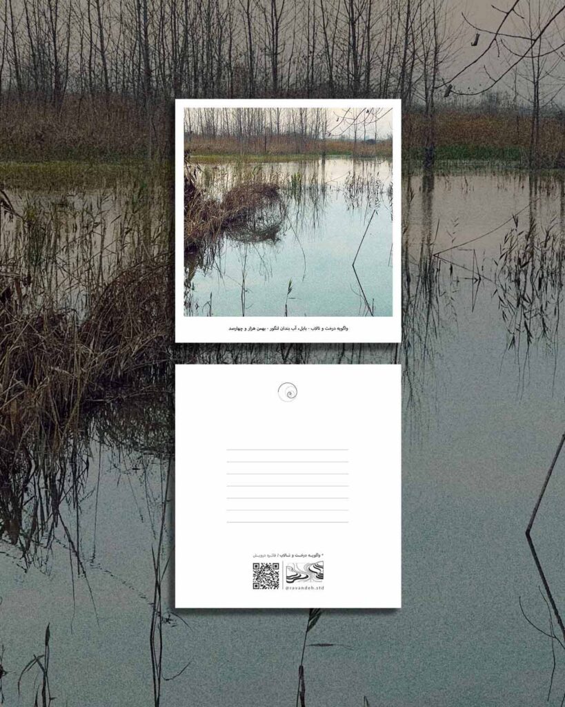 کارت پستال / postcard