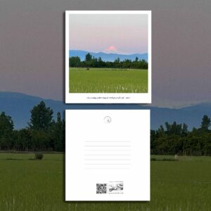 کارت پستال / postcard