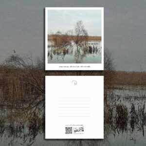 postcard / کارت پستال