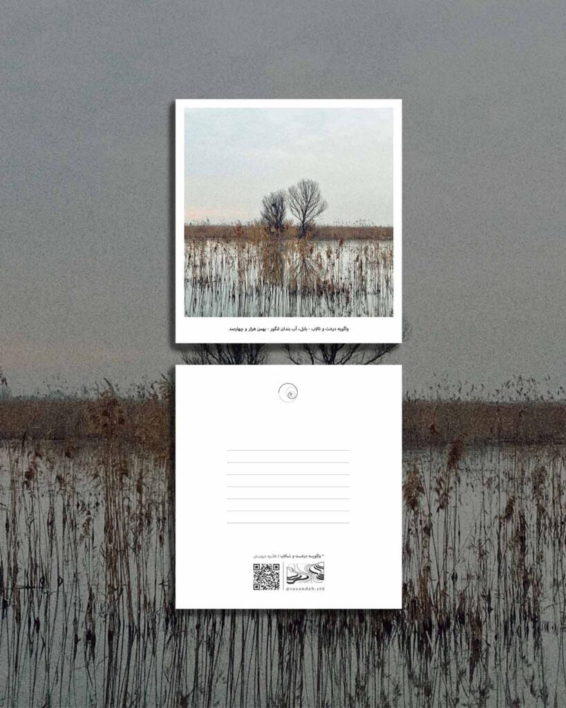 The Tree and the Wetland in Conversation 10