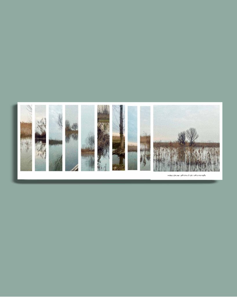 The Tree and the Wetland in Conversation - واگویه درخت و تالاب