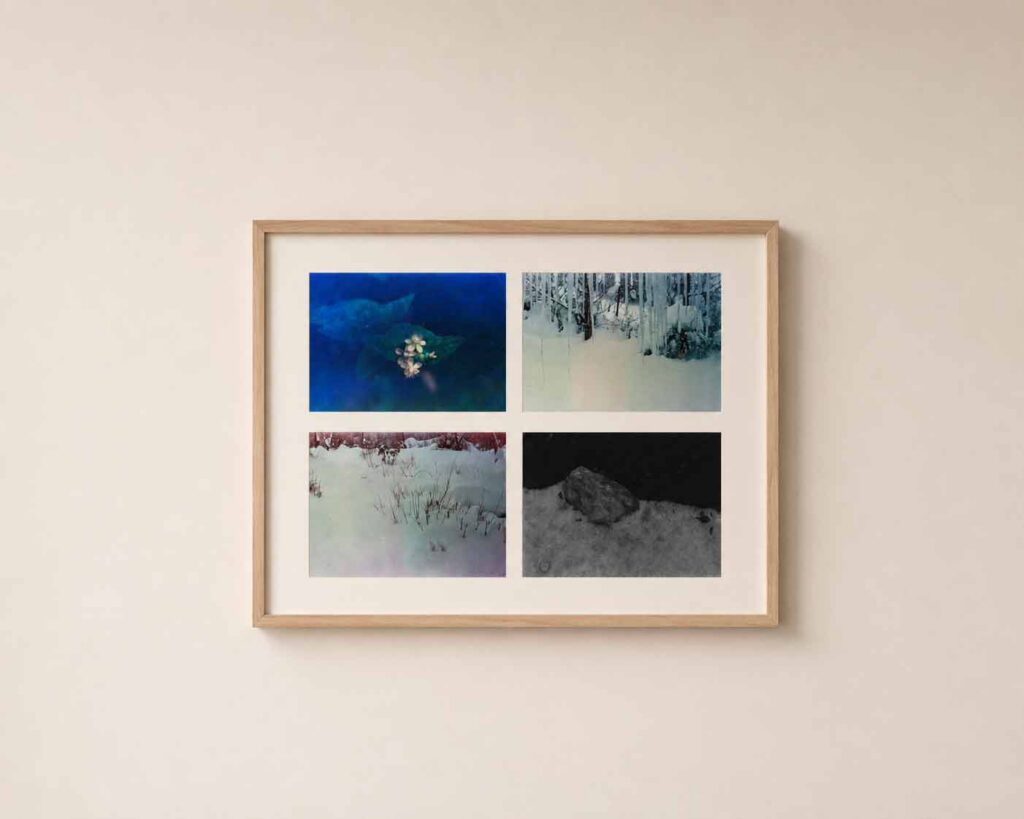 Frame 12