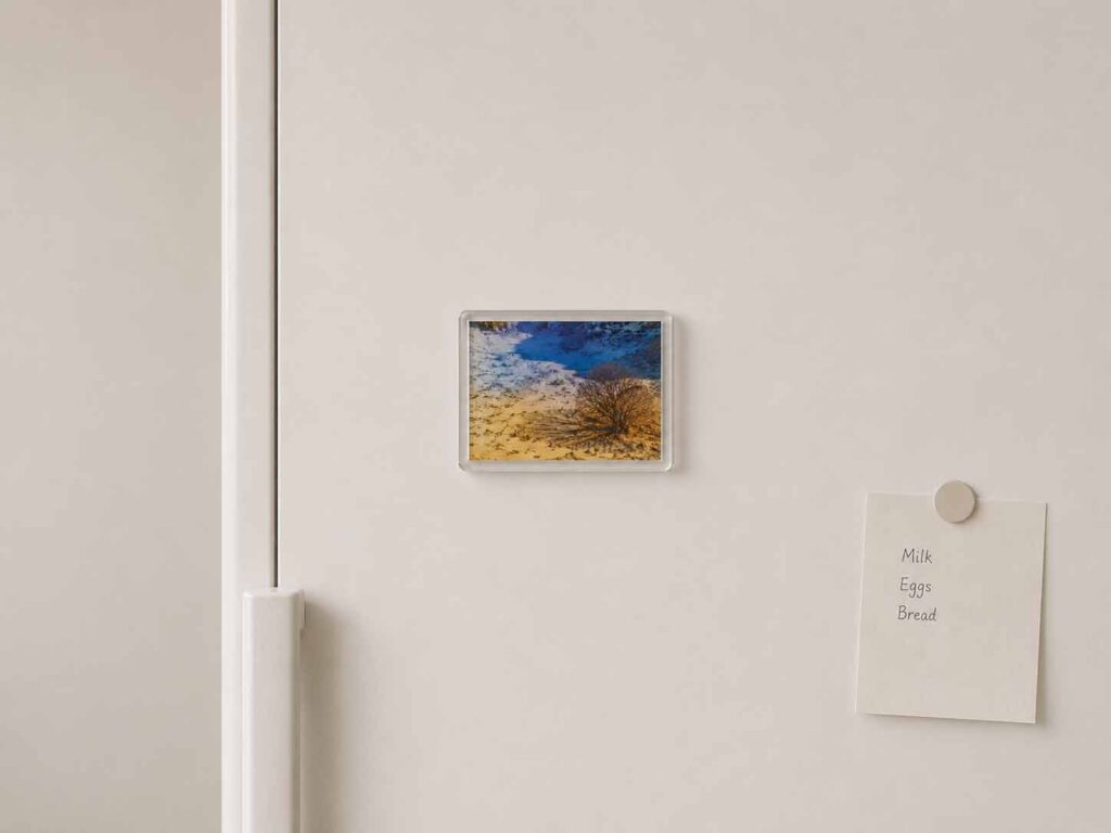 Postcard Magnet 2