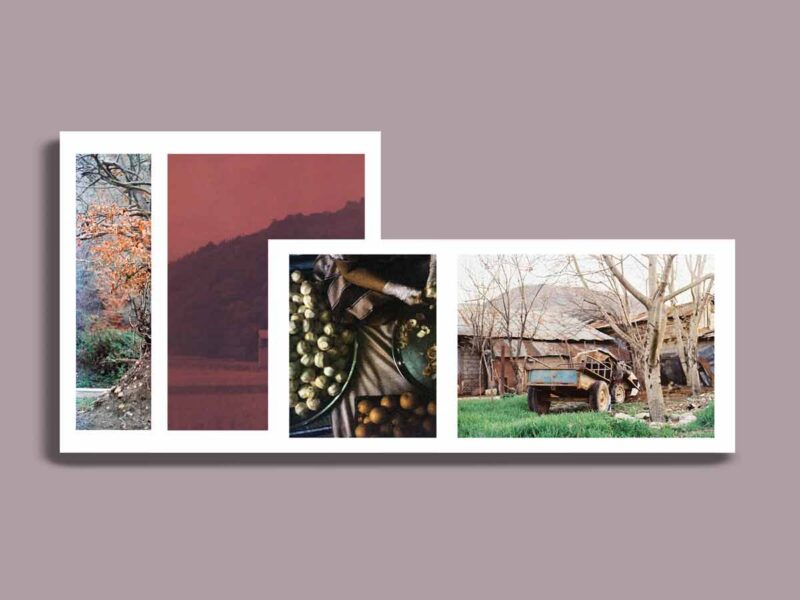 Mazandaran: A Collective Memory