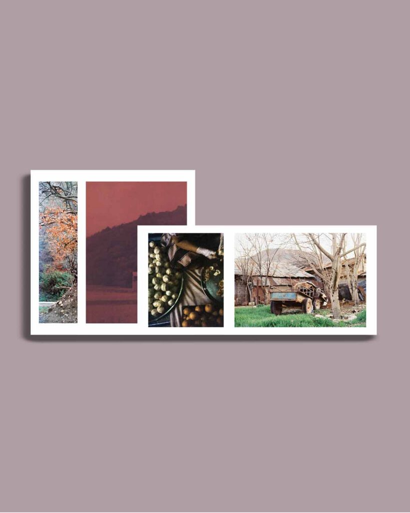 Mazandaran: A Collective Memory